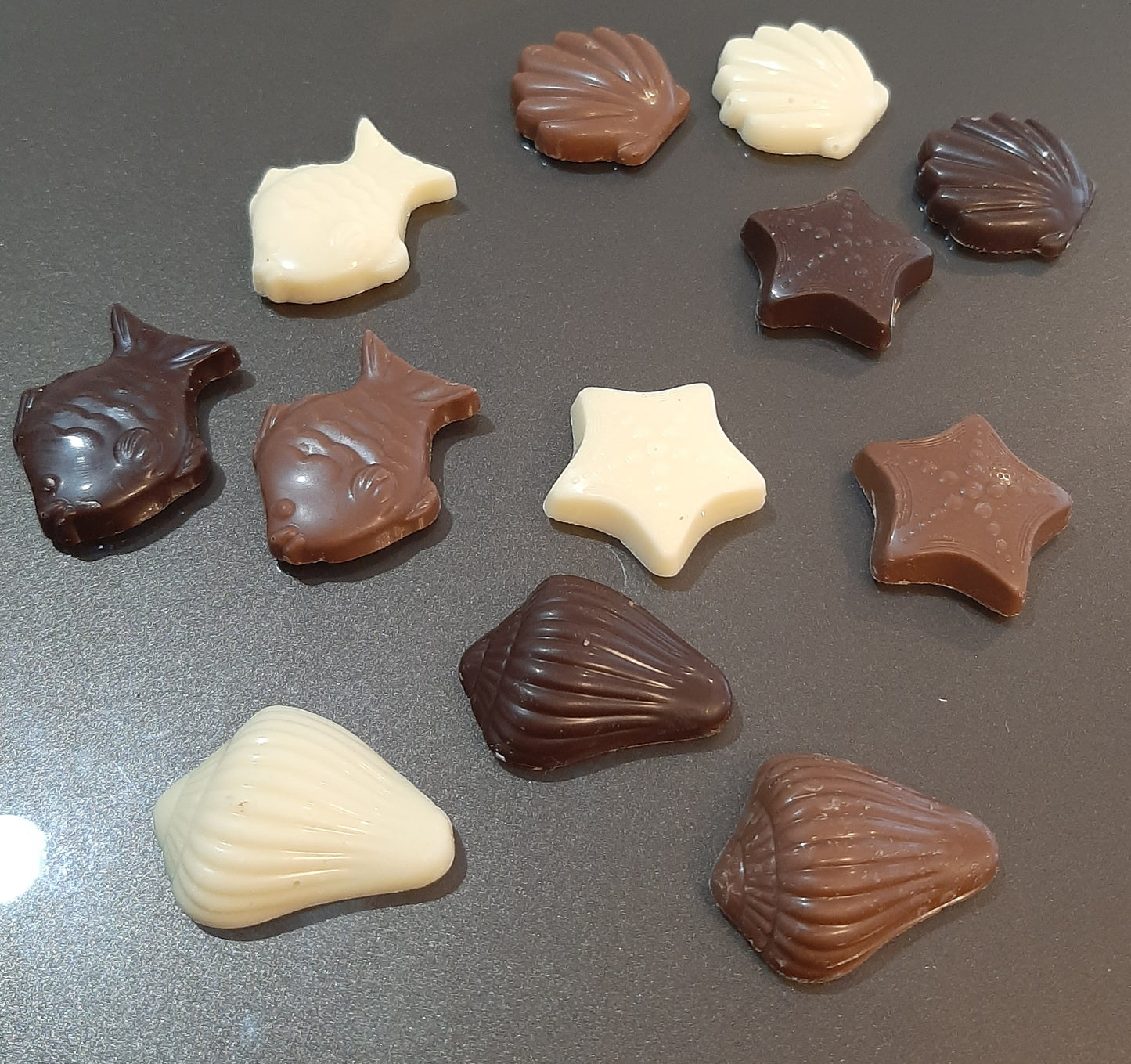 Sea Buddies – Assorted Chocolate Bitsy Bites 3.53 Oz (100 g)