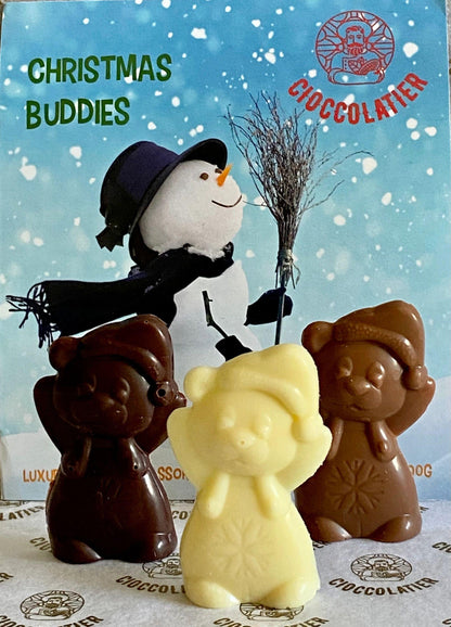 XB100 - Christmas Buddies - Luxury Assorted Chocolate Bitsy Bites 3.53 Oz (100g)